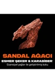 Axe Premium Collection Duş Jeli Copper Santal 3 In 1 Vücut Saç Yüz 300 ml - 5