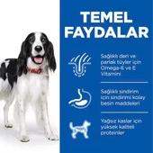 Hills Biftekli Köpek Konserve Maması 370 Gr - 3
