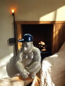 kırılmaz polyester,SARI RENK Goril biblo thumbnail 1