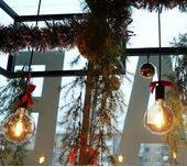 CT-4286 6W Rustik Led G95 Glop Ampul E27 Amber Işık aydınlatma lamba 2700K - 2