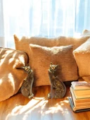 kırılmaz polyester 2 li SARI RENK kedi biblo thumbnail 1