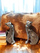 kırılmaz polyester beyaz renk 2 li kedi biblo thumbnail 1