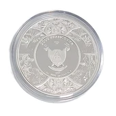 AgaKulche Durga Rutenyum 2024 Gümüş Sikke Coin - 2