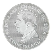 AgaKulche Demir Şövalye Gümüş Sikke Coin - 2