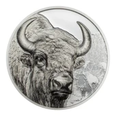 AgaKulche Moğolistan Bizonu Gümüş Sikke Coin - 1