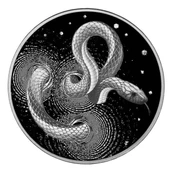 AgaKulche Yılan Gümüş Sikke Coin - 1