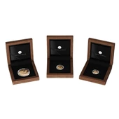 AgaKulche Amenhotep Nefertiti 1/10 Ons Altın Sikke Coin - 4