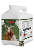Hs Tarım Rebiotic Rumiflor Probiyotik 5KG thumbnail 1