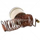 Vaillant Turbomax Plus - Turbomax Pro Kombi TermoManometre Basınç Göstergesi - 3