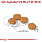 Royal Canin Dermacomfort Mini Irk Yetişkin Köpek Maması 3kg - 5