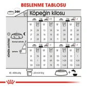 Royal Canin Dermacomfort Mini Irk Yetişkin Köpek Maması 3kg - 6