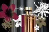 Prada La Femme EDP Intense 100 ml Kadın Parfüm - 3