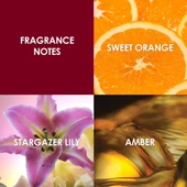 Britney Spears Hidden Fantasy 100ML EDP Kadın Parfümü - 5