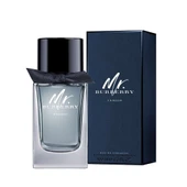 Burberry Mr. Burberry Indigo EDT 100 ml Erkek Parfüm - 6