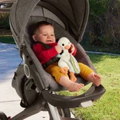 Fisher Price Sesli Sevimli Peluş Kaz HRB16 - 4