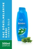 Blendax Saç Dökülmelerine Karşı Isırgan Özlü Şampuan 500 ml - 1