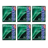 Vivident Storming Sakız Nane 33 gr x 6 Adet - 1