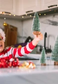 9 Adet Nevada Mini Çam Ağacı Uçlarına Kar Yağmış Karlı Yılbaşı Hediyesi  15-12-8  cm - 7