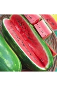 ZENGARDEN EV VE BAHÇE Jübile karpuz tohumu geleneksel jubilee watermelon seeds - 1