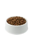 Snow Patis Kedi Maması Gourtmet Karışık 5 KG - 1