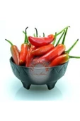 ZENGARDEN EV VE BAHÇE Mini kırmızı acı biber tohumu mini red hot chili pepper seeds - 3