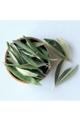 Aydos Taze Dalından Organik Zeytin Yaprağı 100 gram - 1