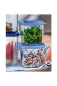 Tupperware Modüler Düzenleme Kapları 460-715 ml Buzdolabı Saklama Kabı - 3