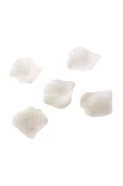 105 Adet Gül Yaprağı Krem ( 5 Cm* 5 Cm ) - 1