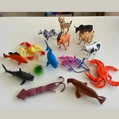 Hayvanlar Alemi Seti 15 Parçalı Full Set Deniz Hayvanları ve Kara Hayvanları thumbnail 3