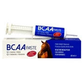 N-Active Bcaa Paste 60 ml - 1
