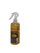 sprey oda kokusu 400 ml mango kokusu thumbnail 5