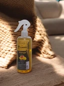 sprey oda kokusu 400 ml mango kokusu thumbnail 3