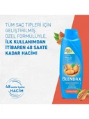 Blendax Güçlendirici Bakım Şampuan Badem Yağı Özlü 500 ml - 5