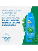 Blendax Saç Dökülmelerine Karşı Etkili Şampuan Isırgan Özlü 500 ml - 5
