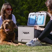 IGLOO CoreMAX 22 Buzluk 22 Litre thumbnail 5