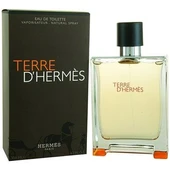 Hermes Terree D' Edt 100 ml Erkek Parfümü 3346131400003 - 1