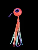 S.F. Melek Gözü Jig 250g Turuncu UV - 0/5 No Paslanmaz İğne - Turuncu Saçak thumbnail 2