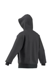 adidas Erkek  Çok renkli  Sweatshirt M US SPORT HD JD8095 - 12