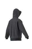 adidas Erkek  Çok renkli  Sweatshirt M US SPORT HD JD8095 - 10