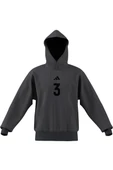 adidas Erkek  Çok renkli  Sweatshirt M US SPORT HD JD8095 - 7