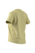 adidas Kadın  Sarı  T-shirt OTR B TEE JD6431 - 10