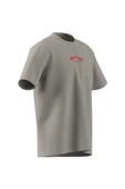 adidas Erkek  Bej  T-shirt WAB  TEE JD0667 - 9
