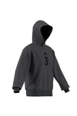 adidas Erkek  Çok renkli  Sweatshirt M US SPORT HD JD8095 - 8