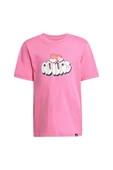 adidas Çocuk  Pembe  T-shirt LK FUN VAL TEE JI6686 - 1