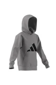 adidas Gri Çocuk   Sweatshirt J FI LOGO HD JJ4788 - 11