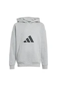 adidas Gri Çocuk   Sweatshirt J FI LOGO HD JJ4788 - 1