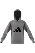 adidas Gri Çocuk   Sweatshirt J FI LOGO HD JJ4788 - 9
