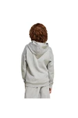 adidas Gri Çocuk   Sweatshirt J FI LOGO HD JJ4788 - 3