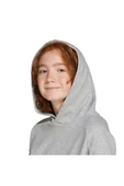 adidas Gri Çocuk   Sweatshirt J FI LOGO HD JJ4788 - 5