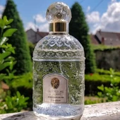 Guerlain Eau De Fleurs De Cedrat EDT 100ml unisex erkek parfüm - 6